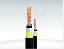 FA-DPYC Flame Retardant Marine Copper Cable(JIS C 3410)